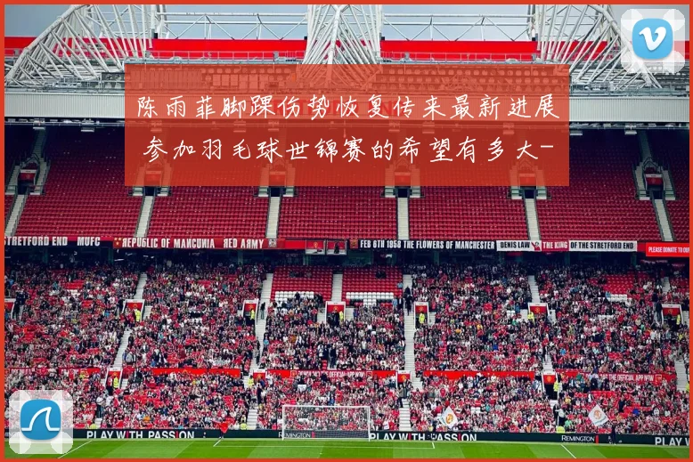 陈雨菲脚踝伤势恢复传来最新进展 参加羽毛球世锦赛的希望有多大