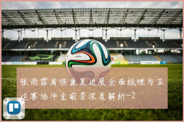 张雨霏肩伤康复进展全面梳理与亚运赛场冲金前景深度解析