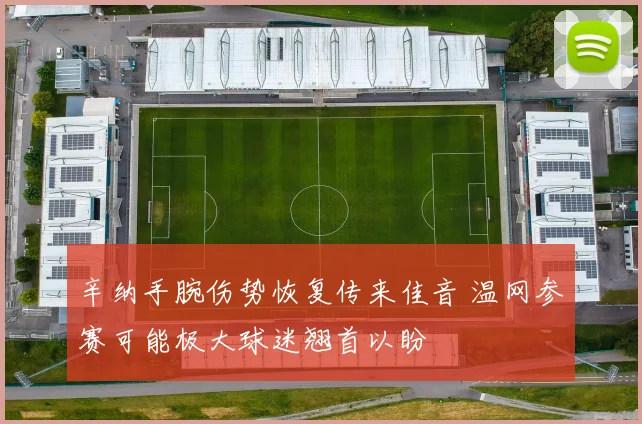 辛纳手腕伤势恢复传来佳音 温网参赛可能极大球迷翘首以盼